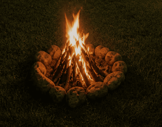 Outdoor BBQ Gatherings