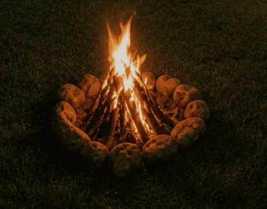 Outdoor BBQ Gatherings